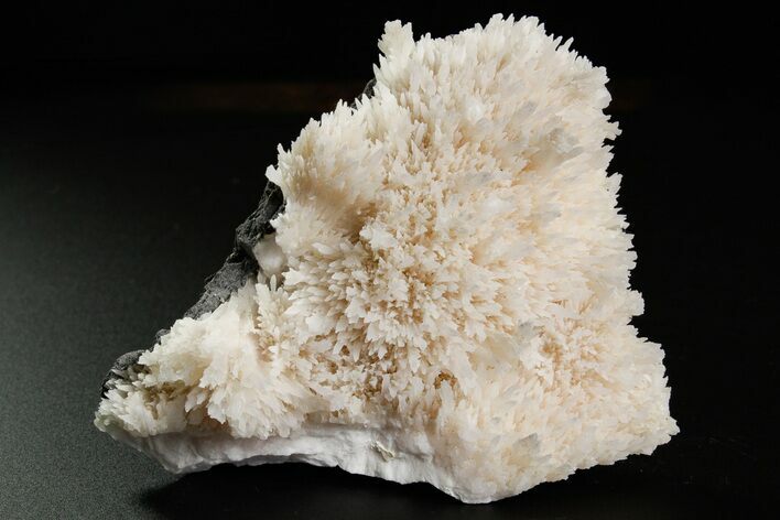 Pink Manganoan Calcite Crystal Cluster - Fluorescent! #361515